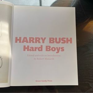 Hardcover Harry Bush “Hard Boys” Book